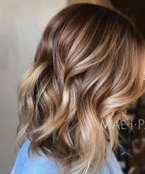 2017 Highlights And Lowlights For Light Brown Hair New Hair Color Brown Hair With Highlights Hair Color Light Brown Brown Hair With Highlights And Lowlights