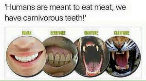 Biology How Life Works 3rd Edition Pdf Reddit Vegan Plantpure Aplantbaseddiet Org Carnivore Teeth Human Teeth Vegan Animals