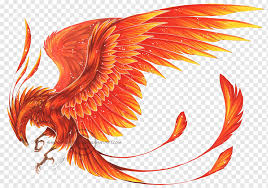 Wish you could fly like superman? Red Phoenix Illustration Shadow Of Memories Book Of Shadows Phoenix Drawing Phoenix Legendary Creature Orange Fictional Character Png Pngwing