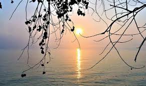 Check spelling or type a new query. What Is The Meaning Of Peace Of Mind