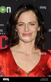 Alan Vee's Instagram, Twitter & Facebook