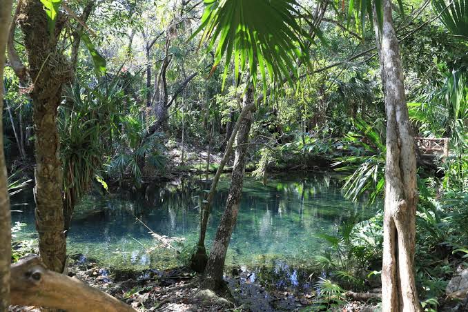 Filming In Mexico: 5 Locations That Offer The World In One Country