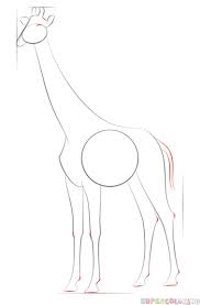 Pin On How To Draw