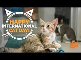 If you're looking for cute cat quotes for an extra special social media post. Ten Ways To Celebrate International Cat Day Tractive Blog