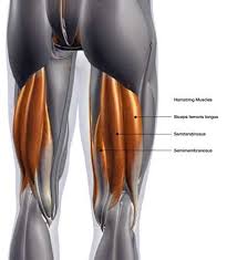 Low back strain typically worsens with specific movements that activate the affected muscles. Hamstring Stretches For Back Pain Relief Spine One Denver Spine Pain Specialists