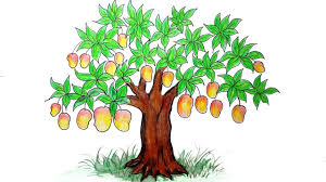 How To Draw Mango Tree Very Easy Drawing Mango Tree Youtube Download 93 royalty free mango tree drawing vector images.