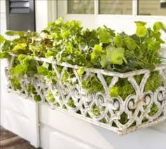 Window Boxes That Raise The Bar Window Box Wrought Iron Window Boxes Window Box Flowers