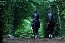11:02 競馬界のtkg 49 457 просмотров. Nhkãƒžã‚¤ãƒ«ã‚«ãƒƒãƒ— 2020 ç©´é¦¬ ç„¡æ–™ å…ˆé€±ã¯ã‚¹ãƒ†ã‚£ãƒƒãƒ•ã‚§ãƒªã‚ªæ¿€èµ°ã‚'æ–­è¨€ ä»Šé€±ã® å¥½èª¿æ•™é¦¬ ã¯ ç«¶é¦¬äºˆæƒ³ã®ã‚­ãƒ³ã‚°ã‚¹ãƒãƒ¼ãƒ„