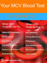 Mcv Blood Test What It Means Common Causes Of Abnormal Levels And Treatment