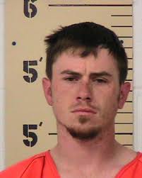Leander man charged with meth, stolen firearm