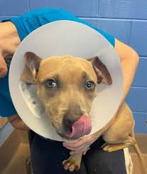 Meet Avery Ann Neill. She was born June 2, 2012 at 31wks. She weighed in at  2lbs 9oz and spent her first 6 weeks of life in the NICU with her twin