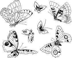Ternyata tak hanya motif bunga, kini henna motif kupu kupu pun sangat populer tak hanya di kalangan wanita yang hendak menikah saja. Kupu Model Tahun Sketsa Gambar Gratis Di Pixabay