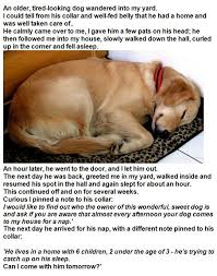 Haha So Freeking Cute Animals Are Somethan Else Sleeping Dogs Funny Animals Funny Cute