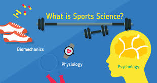 The master of science (exercise and sport studies) programme is designed for participants with an interest in physical education, sports, fitness, health and wellness. Study Sports Science Find Courses Universities