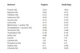 The Special Nutritional Needs Of Puppies