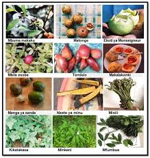 Fruits Et Legumes Sauvages De Nos Forets Rdc Fruits Et Legumes Fruits Legumes