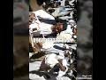 تحميل شيت كنترول أحمد السيد 2020. Ø¬Ø¯ÙŠØ¯ Ø§Ø­Ù…Ø¯ Ø§Ù„Ø¯Ø§Ù‚Ù‡ Ù¢Ù Ù¢Ù  Mp3