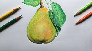 Please subscribe to my channel for more videos about drawing. Drawing A Pear In Color Pencils Realistic Fruit Drawing Faber Castell Polychromos Youtube