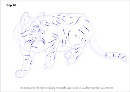 Ted grant tags dc comics, superheroes, ted grant, wildcat. Learn How To Draw A Wildcat Cats Step By Step Drawing Tutorials