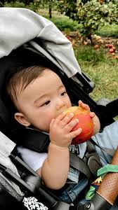 Every part of parenting is so bittersweet 🤍, #parenting #uppababy  #uppababyvista #transitions #mom #firsttimemom #stroller