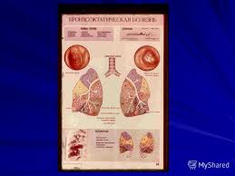 A szívizomgyulladás bármely életkorban előfordulhat, beleértve a csecsemőket is. Pulmonalis Hypertonia 1 2 Fok Kezeles Tunetek Es Prognozis Pulmonalis Hipertonia 2 Fok