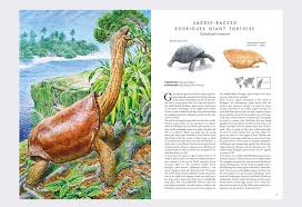 We did not find results for: Albatros Media Atlas Of Extinct Animals