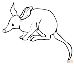 coloriage bandicoot coloriages a imprimer gratuits de noel