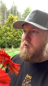 The first bees to make honey