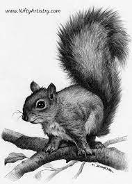 Pin On Squirrel Decor