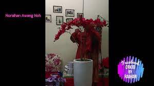 Check spelling or type a new query. Gubahan Orkid Orchid Anggerik Pasu Besar 2 Lapan Tangkai Bunga Kasih Part 7 Bahagian 7 Youtube