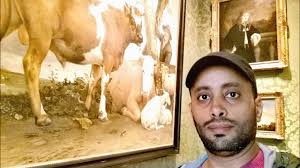 متحف ماورتشهاوس في لاهاي Mauritshuis Museum Youtube