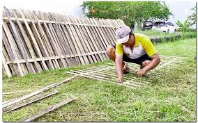 Jika anda tertarik untuk memiliki sebuah pagar bambu unik, alangkah baiknya bagi anda untuk memilih terlebih dahulu untuk desain dan juga model. Cara Membuat Pagar Dari Bambu Yang Unik Dan Sederhana