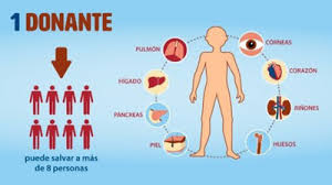 Resultado de imagen para incucai