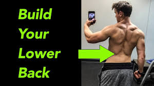 Lower back pain can be the result of acute injury like a bulging disc or from chronic repetitive movement that can cause issues like a pinched nerve. Top 5 Exercises For Lower Back At Gym And Home Youtube