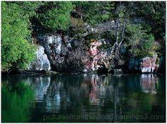 Another Image Of The Canadian Shield Image Gary Paulsen Hatchet