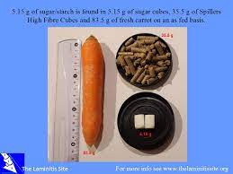 Who Said Stop The Carrots The Laminitis Site