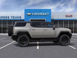 Image result for Coastal Dune 2026 Hummer