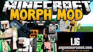 It has really added a lot of flair to the game itself. Download Morph Mod For Minecraft 1 16 5 1 16 2minecraft Com