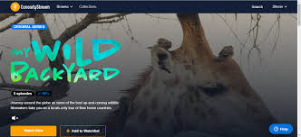 Glimpse the short but sweet summer livin' of the brown bears of alaska in brown bears of summer on curiositystream! Curiositystream Review Pcmag