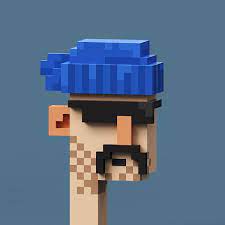 Crypto Voxel Punks 7120 Crypto Voxel Punks Opensea In 2021 Punk Blockchain Polygon