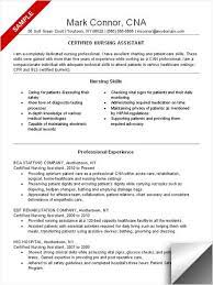 Pin On Resume Examples