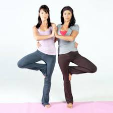 If you want to make your healthy lifestyle, then we provide the best idea to eat healthy foods and to do yoga's that is healthy benefits & supplements. 2 Person Yoga Poses For Beginners