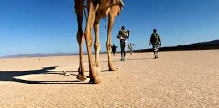 The western strait, opening into the gulf of gabes, is a mile and a half broad; Out Of Eden Walk Paul Salopek S 21 000 Mile Odyssey Is A Decade Long Experiment In Slow Journalism
