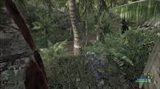 Image result for crysis climb trees