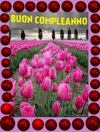 Buon compleanno carta con fiori rosa garofano fotografie. Rose Rosa Auguri Di Compleanno Immagine Gif