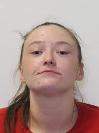 2/21/2020 Probation Officers performed a routine house check at the 315  Glassburn Road residence of Michael G. Morgan. When officers first arrived,  probationer Dale Ohm II was outside and attempted to flee.