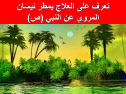 طب اهل البيت ع العلاج بمطر نيسان و ي ن ز ل ع ل ي ك م م ن الس م اء م اء ل ي ط ه ر ك م ب ه و ي ذ ه ب ع ن ك م ر ج ز الش ي ط ان و ل ي ر ب ط ع ل ى ق ل وب ك م و ي ث ب ت ب ه ال أ ق د ام سورة الأنفال آیة