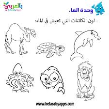 Pin On وحدة الماء رياض اطفال