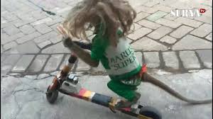 Nggak bikin repot seperti jas. Ekploitasi Kera Atraksi Topeng Monyet Disuruh Ngebut Seperti Valentino Rossi Youtube