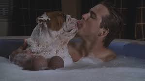 National lampoon's comedic material, or gross out comedies probably will. National Lampoon S Van Wilder 2002 Backdrops The Movie Database Tmdb